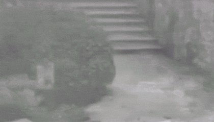 仅40秒!两人不幸身亡