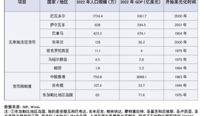 拉美经济体货币的聚合与撕裂
