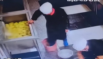 新余一学校食堂员工脚踩食材?官方通报:属实,涉事人员被辞退,校长及总务处主任免职