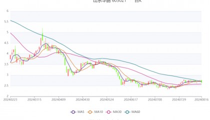 山东华鹏：2024年上半年亏损6496.02万元