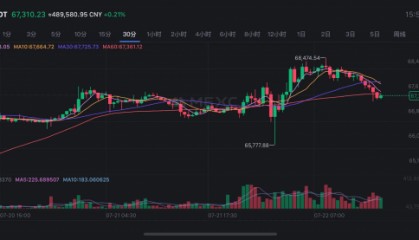 美国大选对市场影响显现，加密货币市场快速反应