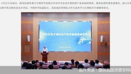 国务院国资委:加快打造生物医药领域的国家队