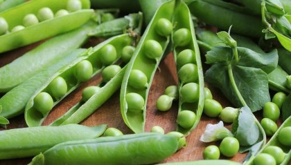 48小时极限反杀！中国把美国订单转交泽连斯基，美农业遭遇釜底抽薪