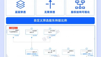 伪国企是指的什么?