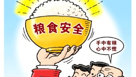 武汉恒新创科资产投资管理有限公司:政策性金融全力保障国家粮食安全