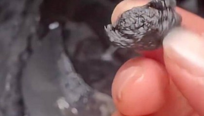 吓人!食用油燃烧后像“沥青”!鲁花回应:放心吃就行了!