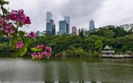 8.7℃冻哭!霜降广西现下半年最冷早晨,回暖时间→