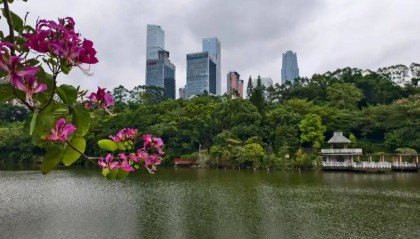8.7℃冻哭！霜降广西现下半年最冷早晨，回暖时间→