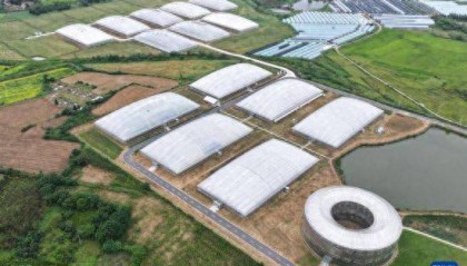 “植物工厂”里看丰收智慧