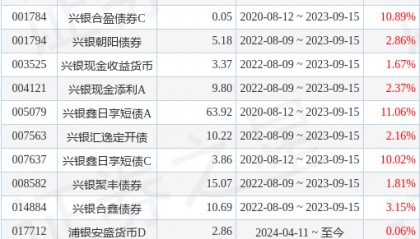 浦银安盛日日鑫货币A基金经理变动：增聘张蕴文为基金经理