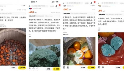 突然火了！有人卖500元一个！网友：后悔扔了……