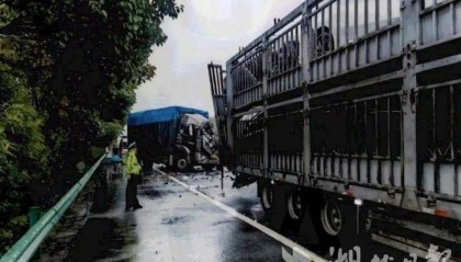 仅1分钟,1人当场死亡!“我真的很后悔!”