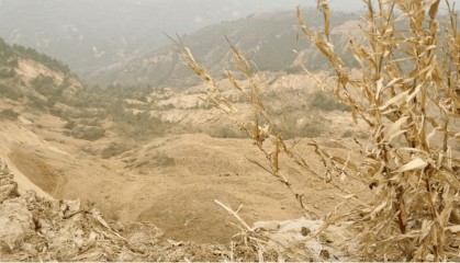 丈夫残疾 农妇雨后独自抢收千斤玉米被掩埋