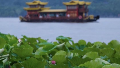 暴涨40%！杭州大反转！更猛的在后头