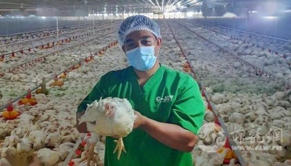 就靠快乐蜂! 鸡肉供应商利润增150%|汇丰建议菲律宾央行紧缩货币政策