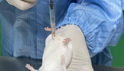 生物相容性是指什么?