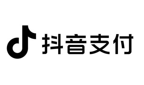 数字支付：抖音支付如何确保交易的安全