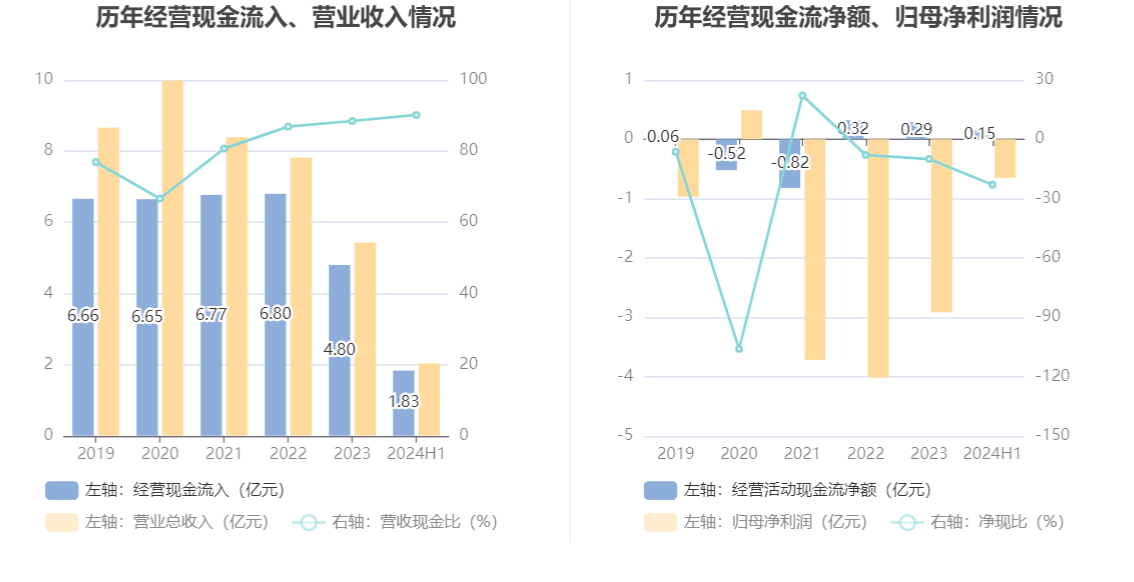 山东华鹏：2024年上半年亏损6496.02万元