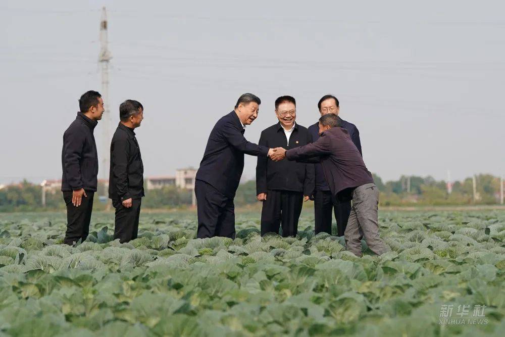 习近平在湖北考察调研