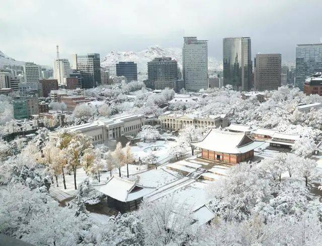 53辆车连环相撞、上百趟航班取消！韩国遇117年来最大降雪，已致多人死伤