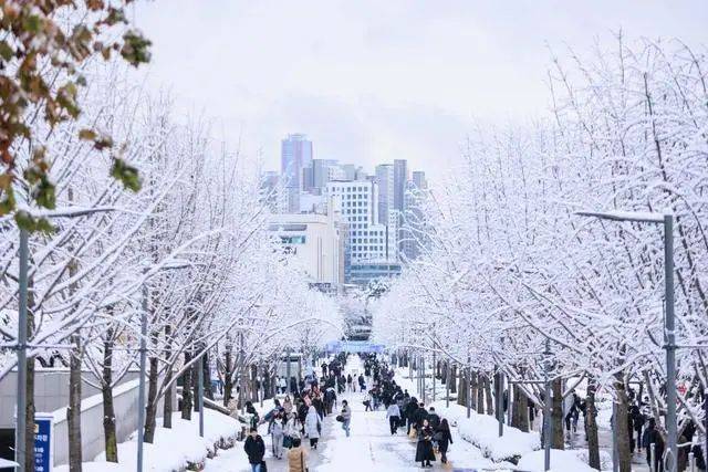 53辆车连环相撞、上百趟航班取消！韩国遇117年来最大降雪，已致多人死伤