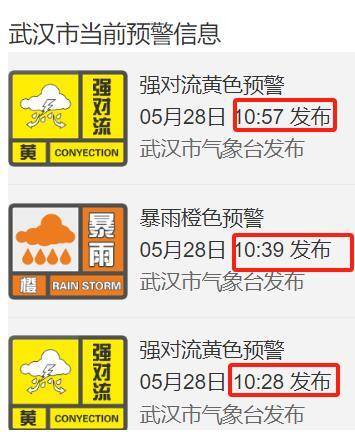 9级阵风+暴雨+雷暴大风！武汉半小时预警三连发