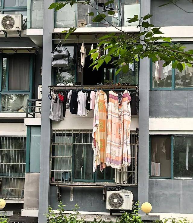 浙江发现一户人家“高级晾衣法”，做法太高明了，你确定不学起来？