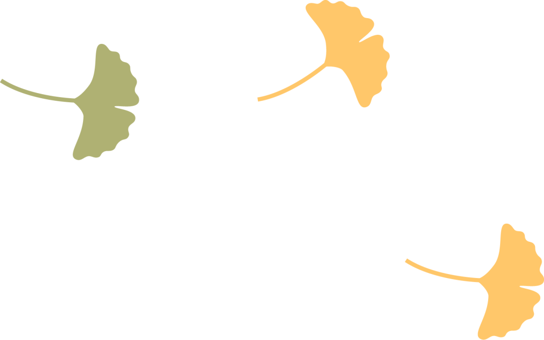 【活动回顾】罗山星悦读“金秋诵章，经典有约”活动圆满落幕