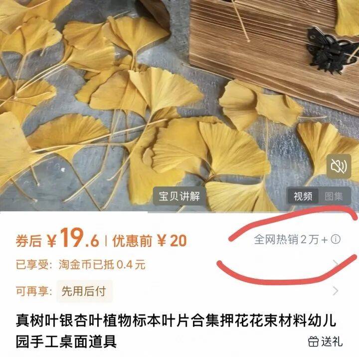 一单149元,成本几乎为0!河南遍地都是,有人靠它悄悄赚钱......