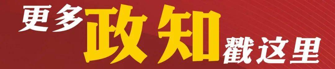 日本前议员：在我们看来，高市早苗已不具备首相资格