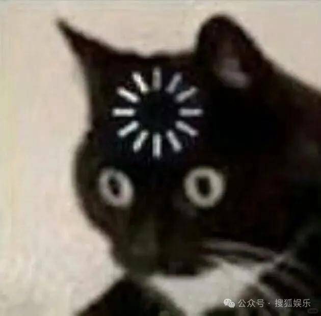 又一对魔幻的圈内姐弟恋曝光!这组合有点太超前了......
