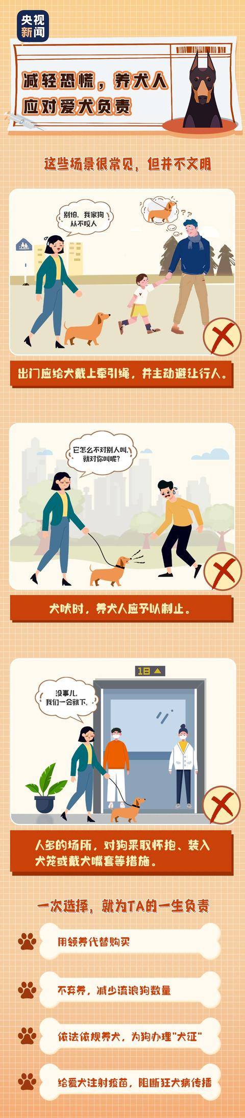 下月起,遛狗不栓绳最高拘10天罚1千