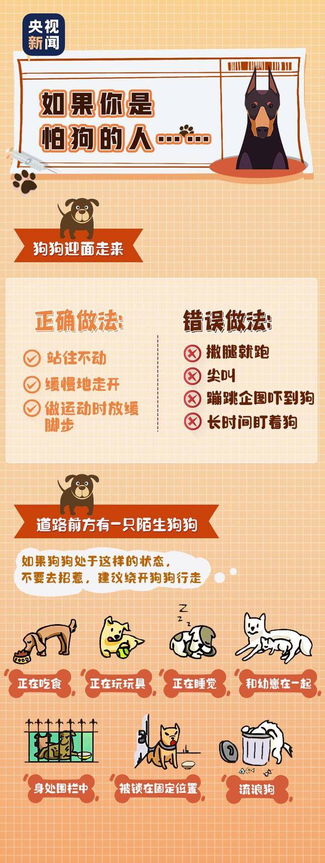 下月起,遛狗不栓绳最高拘10天罚1千
