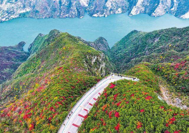 重庆的长江之歌越唱越响亮——写在推动长江经济带发展战略实施十周年之际