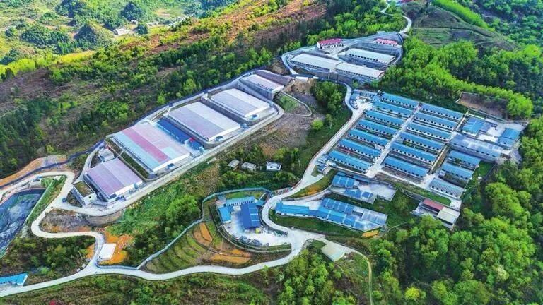 黔货出山入粤来——中山·六盘水东西部协作扩消费新探索