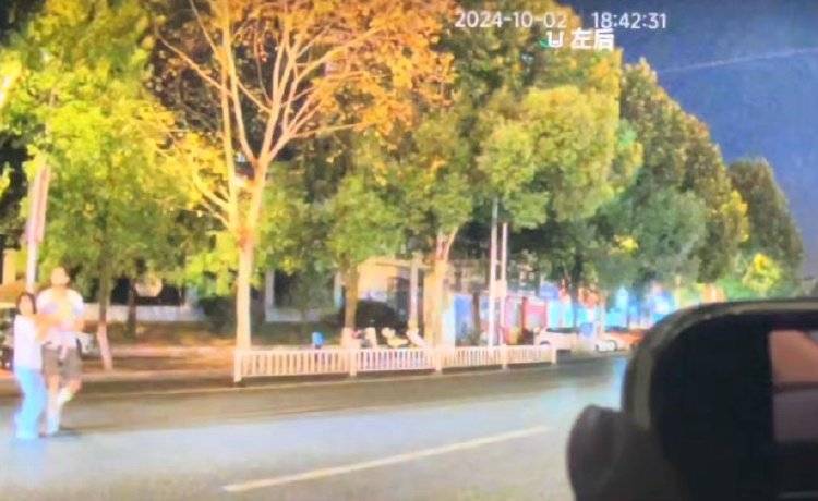 一家三口被撞身亡案细节:肇事者与女友因“鹦鹉何时开始学舌”吵架
