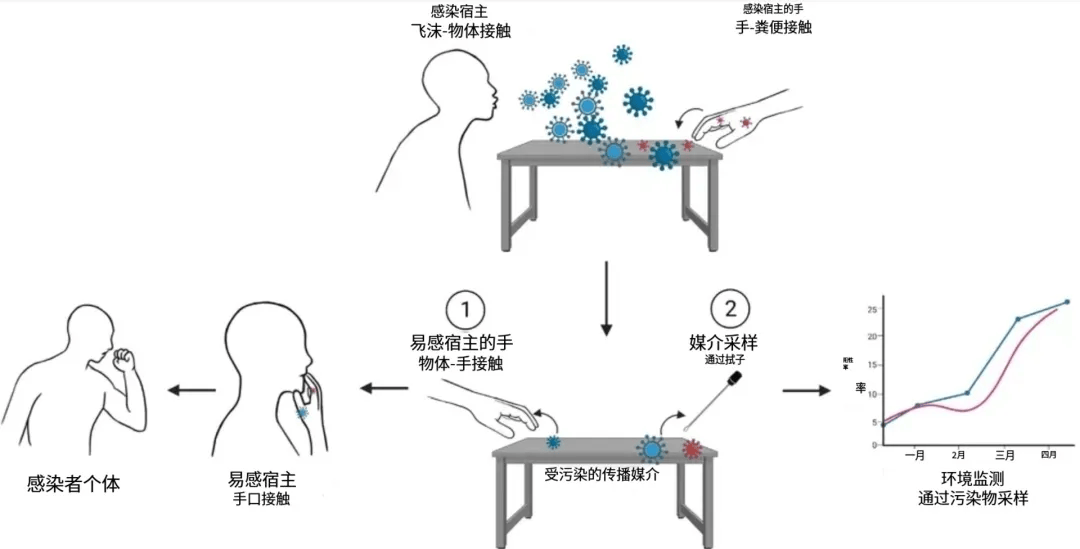 一擦就能灭病毒,婴幼儿、孕妇友好?起底“防甲流”湿巾