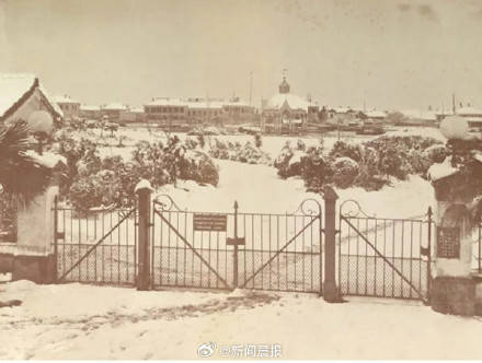 上海积雪有多罕见：过去25年上海几乎年年都下雪，却很难“看见”