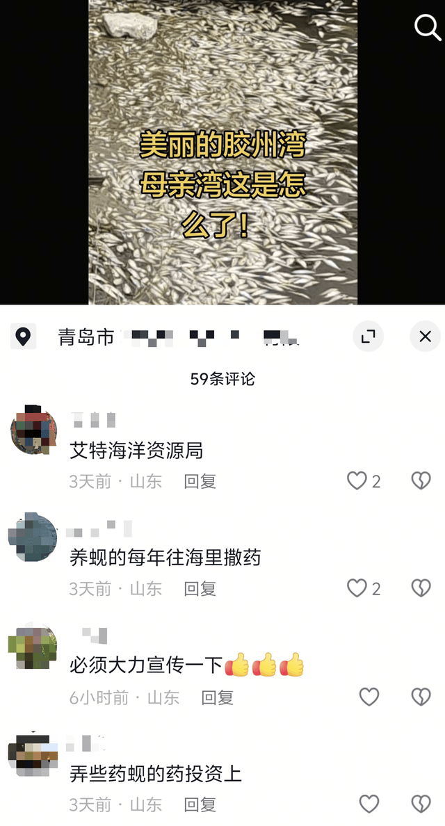 青岛胶州湾岸边现大量死鱼,市民怀疑为蚬蛏养殖户投药所致;当地回应:已收到反映并介入调查