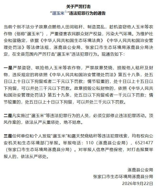 河北涿鹿县：严厉打击“遛玉米”违法犯罪行为